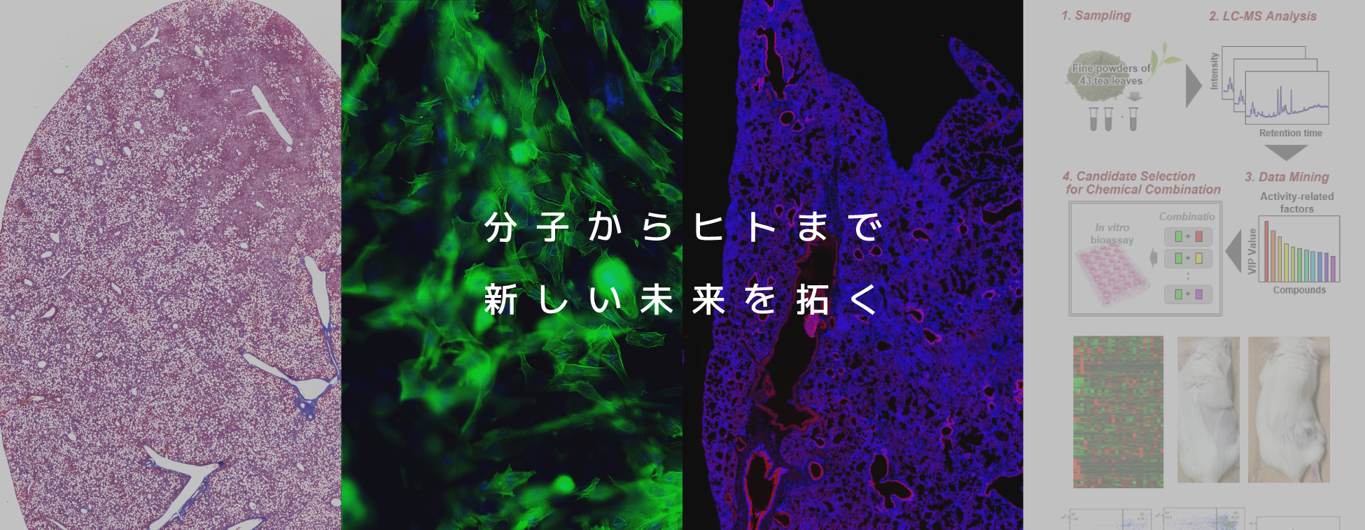 九州大学大学院農学研究院 食糧化学研究室
