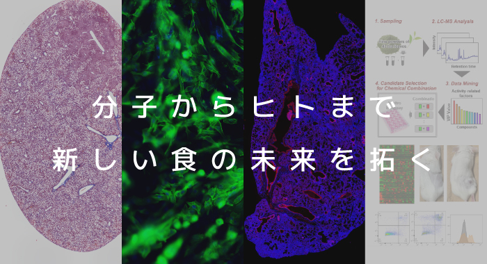 九州大学大学院農学研究院 食糧化学研究室